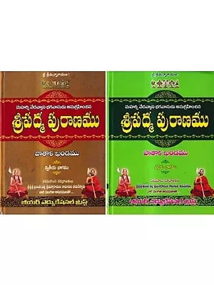 శ్రీపాద్మపురాణము-పాతాళఖణ్డమ్: Sripadma Purana - Pataal Khandam in Telugu (Set of 2 Volumes)