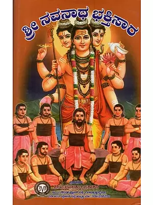 ಶ್ರೀ ನವನಾಥ ಭಕ್ತಿಸಾರ: Sri Navanath Bhaktisara in Kannada