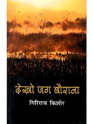 देखो जग बैराना : Dekho Jag Bairana (Collection of Articles by Giriraj Kishore)