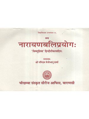 नारायणबलि प्रयोग: Narayan Bali Prayog