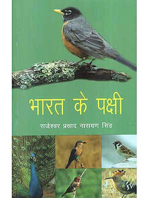 भारत के पक्षी - Birds of India