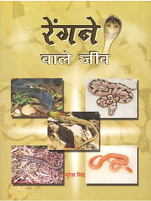 रेंगने वाले जीव: Stories on Animals that Crawl