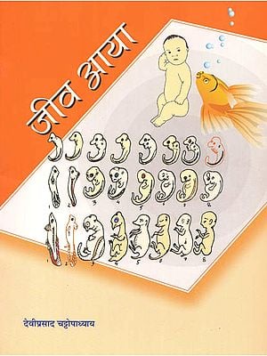 जीव आया: Stories on Human Evolution (Stories for Children)