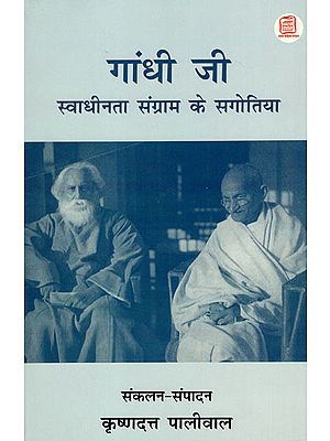 गांधी जी स्वाधीनता संग्राम की सगोतिया - Gandhi Ji's Memoirs On Freedom Struggle Revolutionaries