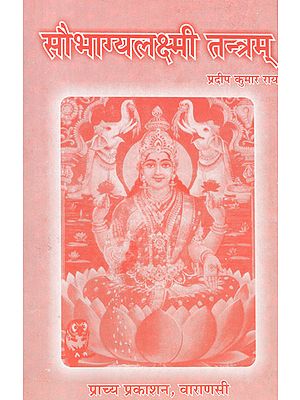 सौभाग्यलक्ष्मी तन्त्रम् - Saubhagya Lakshmi Tantram