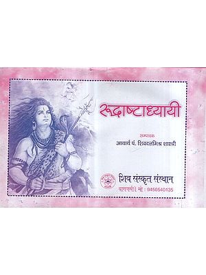 रुद्राष्टाध्यायी - Rudra Ashtadhyayi