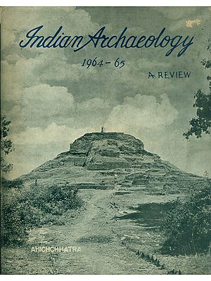 Indian Archaeology 1964-65 A Review (An Old and Rare Book)