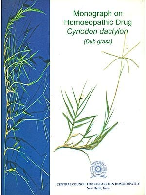 Monograph on Homoeopathic Drug Cynodon Dactylon (Dub Grass)