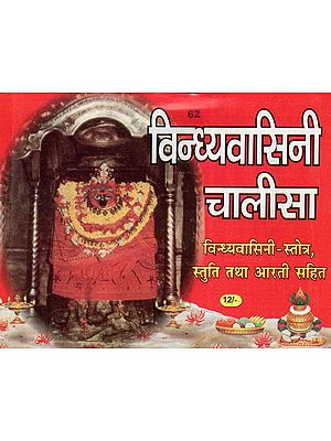 विन्ध्यवासिनी चालीसा - Vindhyavasini Chalisa