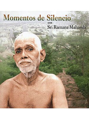 Momentos De Silencio Con Sri Ramana Maharshi (Spanish)
