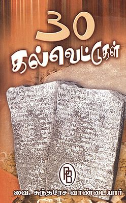 Thiry Stone Inscriptions with Details (Tamil)