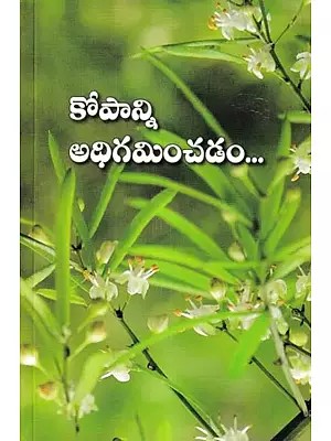 Kopaanni Adhigaminchadam (Telugu)