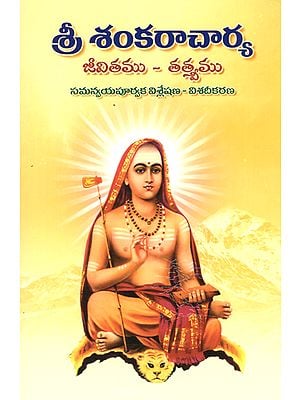 Sri Shankaracharya (Telugu)
