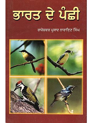 Birds of India (Punjabi)