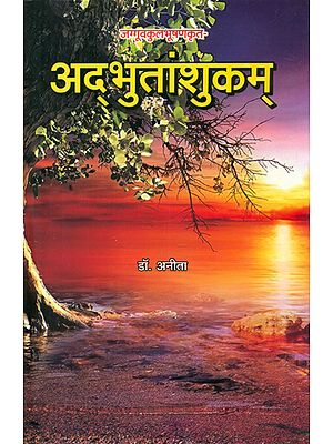 अद्भुतांशुकम् की नाट्यशास्त्रीय समीक्षा - Theatrical Review of Adbhutanshukam
