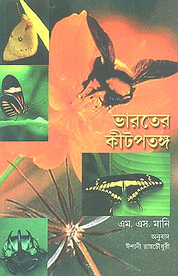 Insects (Bengali)