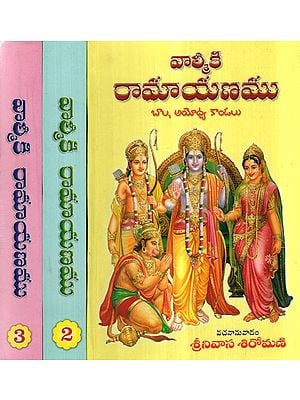 Valmiki Ramayanam in Telugu (Set of 3 Volumes)