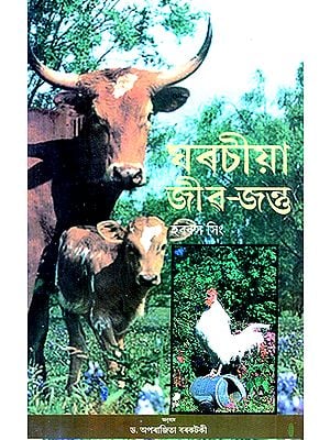 Domestic Animals (Assamese)
