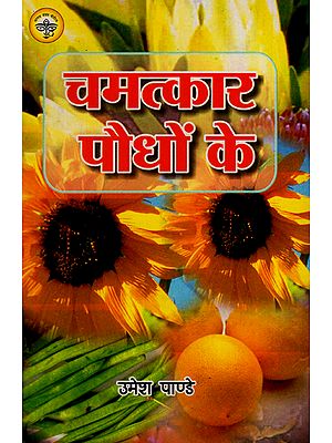 चमत्कारी पौधों - Miracle Plants