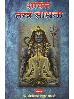 शाक्त तन्त्र साधना - Shakt Tantra Sadhana