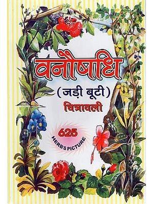 वनौषधि- जड़ी बूटी : Herbal Treatments: Jadi Buti (Rare Herbs and Names of Different Languages, Including Brief Properties, Religion and Usage)
