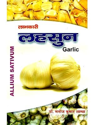 लाभकारी लहसुन- Beneficial Garlic
