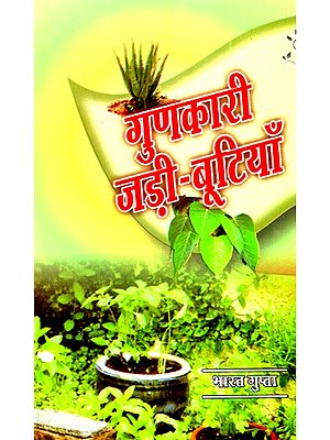 गुणकारी जड़ी बूटियाँ- Quality Herbs