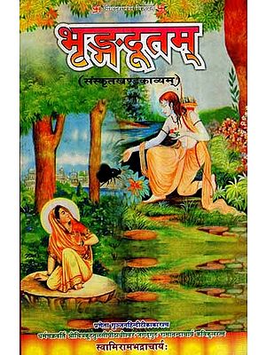 भृङ्गदूतम् (संस्कृत खण्ड काव्यम्)  - Bhrngadutam (Sanskrit Volume Poetry)