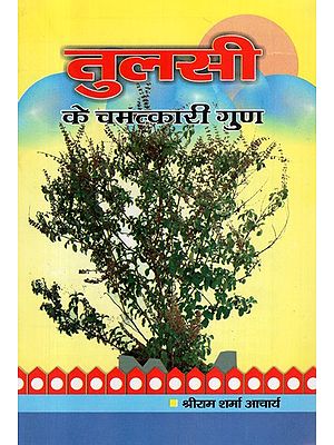 तुलसी के चम्तकारी गुण - Miraculous Properties of Tulsi