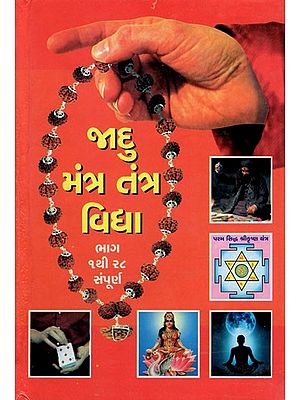 Jadu Mantra Tantra Vidhya (Gujarati)