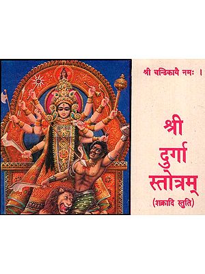 श्री दुर्गा स्तोत्रम - Shree Durga Stotram