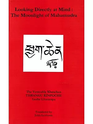 Looking Directly at Mind: The Moonlight of Mahamudra