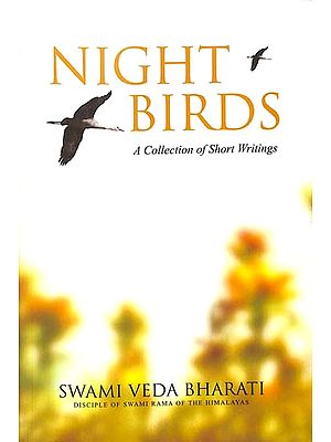Night Birds (A Collection of Short Writings)