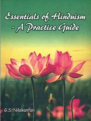 Essentials of Hinduism - A Practice Guide