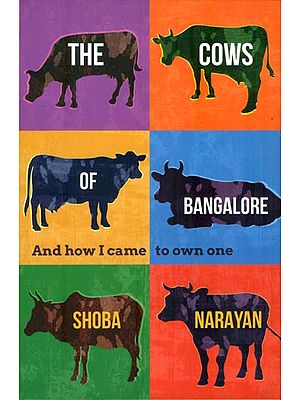 The Cows of Bangalore (And How I Came to Own One)