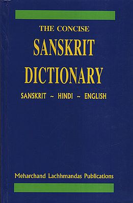 The Concise Sanskrit Dictionary (An Old and Rare Book)