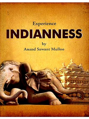 Experience Indianness (Anand Sawant Mulloo)