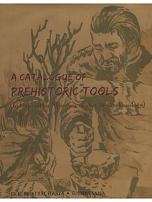 A Catalogue of Prehistoric Tools (Indraprastha Museum of Art and Archaeology)