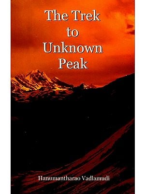 The Trek to Unknown Peak