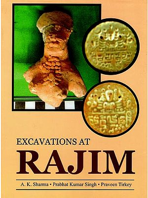 Excavations at Rajim