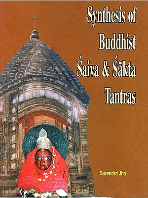 Synthesis of Buddhist Saiva and Sakta Tantras (An Unknown Siddhpitha Maluti)