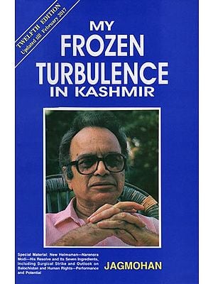My Frozen Turbulence In Kashmir