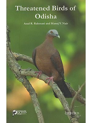 Threatened Birds of Odisha