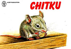 Chitku (Story)