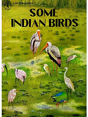 Some Indian Birds