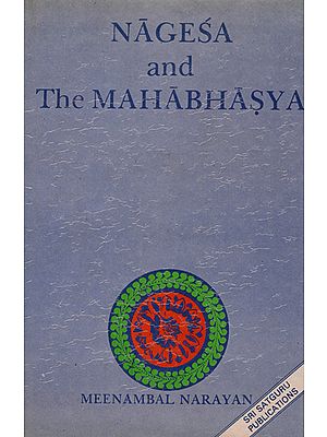 Nagesa and The Mahabhasya