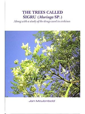The Trees Called Sigru (Moringa SP.)
