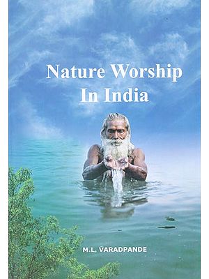 Nature Worship in India