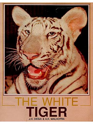 The White Tiger