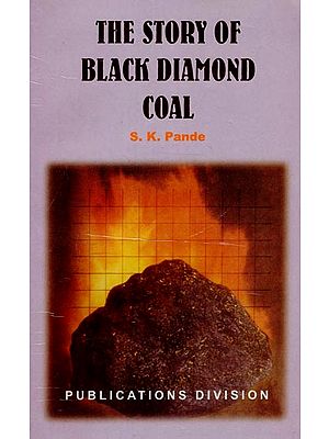 The Story of Black Diamond Coal